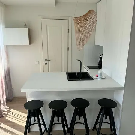 Shine Apartment, By Cohost * Palanga